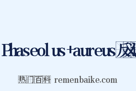 Phaseolus+aureus反义词是什么意思的图片